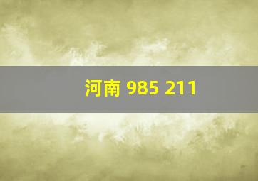 河南 985 211